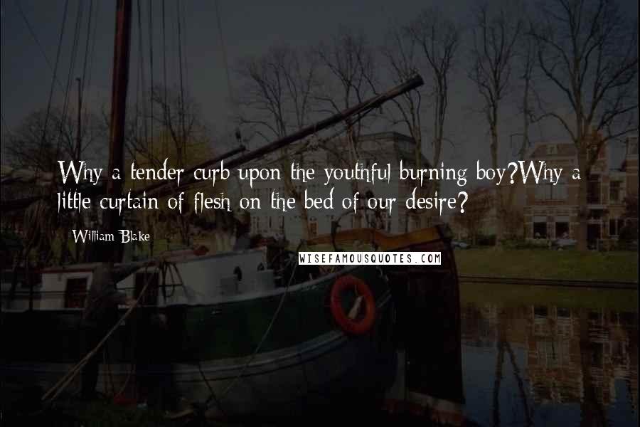 William Blake Quotes: Why a tender curb upon the youthful burning boy?Why a little curtain of flesh on the bed of our desire?