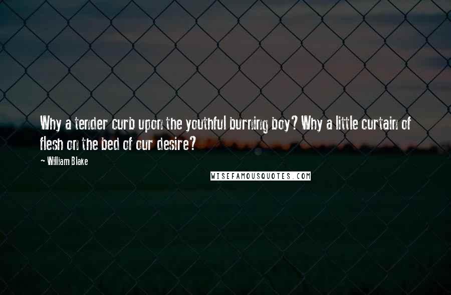 William Blake Quotes: Why a tender curb upon the youthful burning boy?Why a little curtain of flesh on the bed of our desire?
