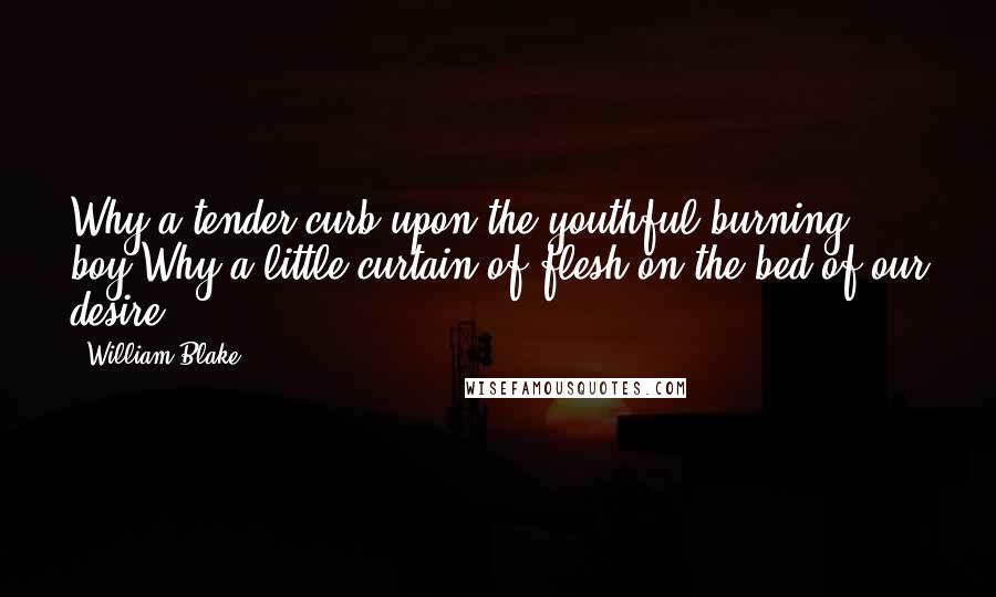 William Blake Quotes: Why a tender curb upon the youthful burning boy?Why a little curtain of flesh on the bed of our desire?