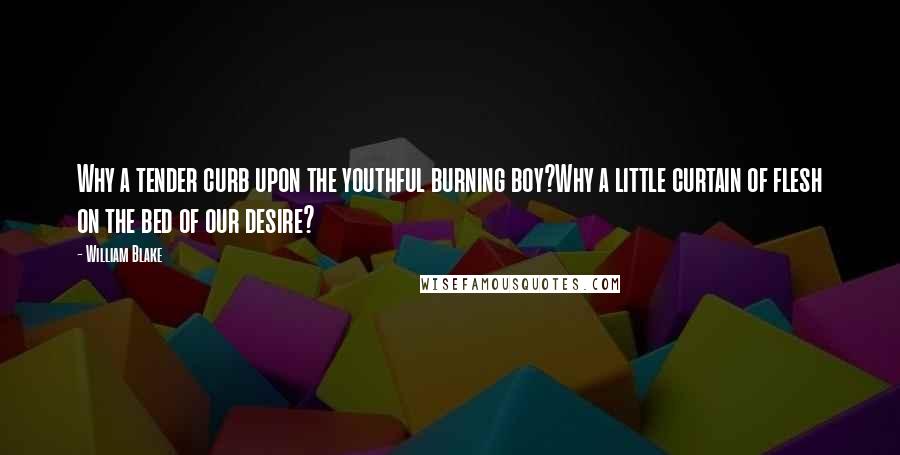 William Blake Quotes: Why a tender curb upon the youthful burning boy?Why a little curtain of flesh on the bed of our desire?