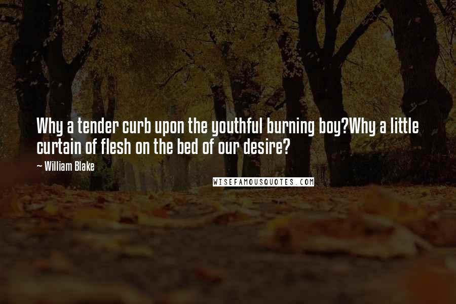 William Blake Quotes: Why a tender curb upon the youthful burning boy?Why a little curtain of flesh on the bed of our desire?