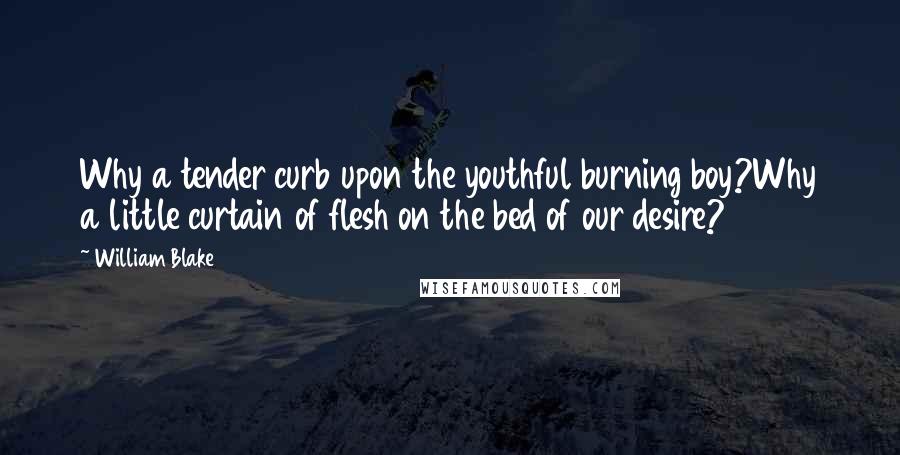 William Blake Quotes: Why a tender curb upon the youthful burning boy?Why a little curtain of flesh on the bed of our desire?