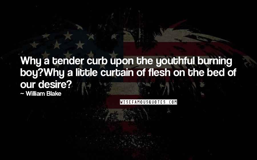 William Blake Quotes: Why a tender curb upon the youthful burning boy?Why a little curtain of flesh on the bed of our desire?