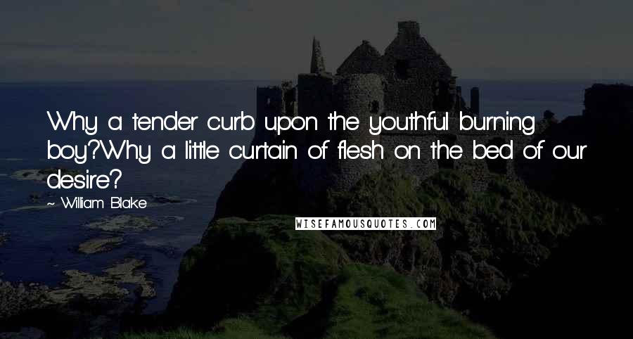 William Blake Quotes: Why a tender curb upon the youthful burning boy?Why a little curtain of flesh on the bed of our desire?