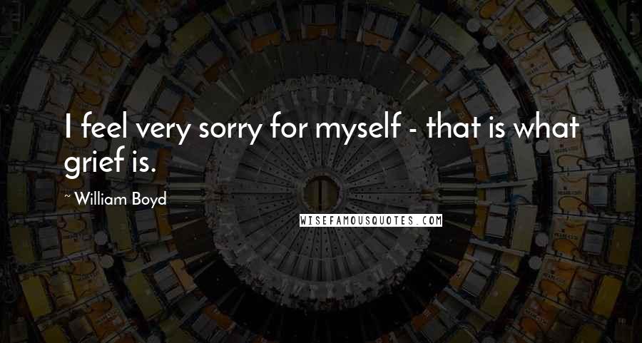 William Boyd Quotes: I feel very sorry for myself - that is what grief is.