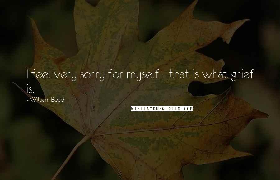 William Boyd Quotes: I feel very sorry for myself - that is what grief is.