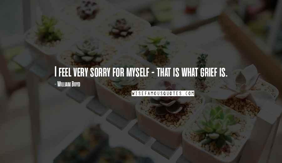 William Boyd Quotes: I feel very sorry for myself - that is what grief is.