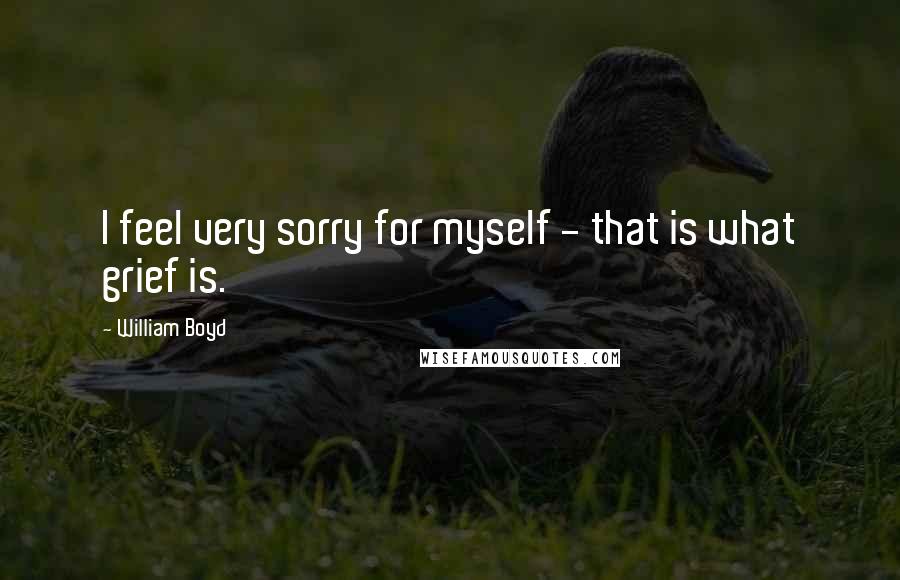 William Boyd Quotes: I feel very sorry for myself - that is what grief is.