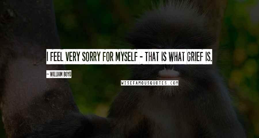 William Boyd Quotes: I feel very sorry for myself - that is what grief is.