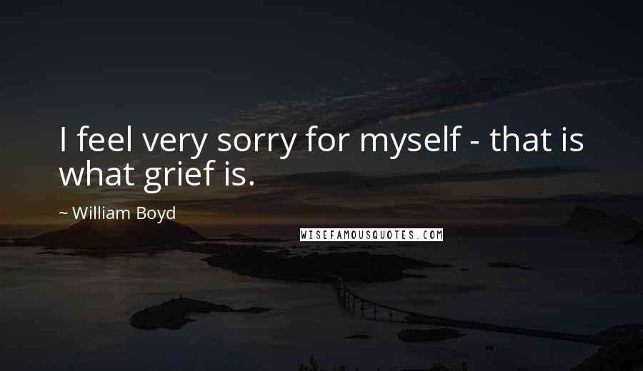 William Boyd Quotes: I feel very sorry for myself - that is what grief is.