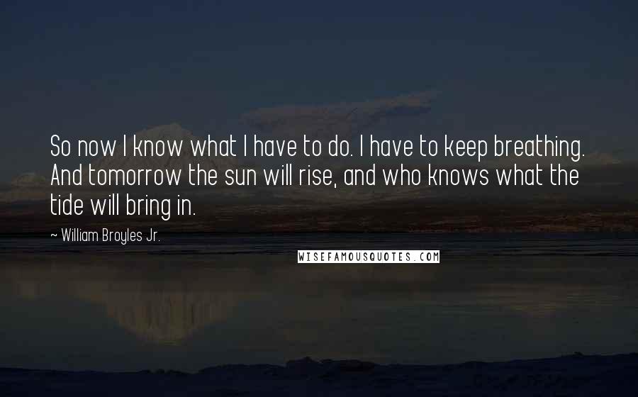 William Broyles Jr. Quotes: So now I know what I have to do. I have to keep breathing. And tomorrow the sun will rise, and who knows what the tide will bring in.