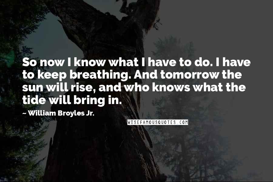 William Broyles Jr. Quotes: So now I know what I have to do. I have to keep breathing. And tomorrow the sun will rise, and who knows what the tide will bring in.