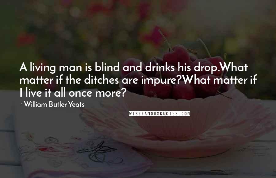 William Butler Yeats Quotes: A living man is blind and drinks his drop.What matter if the ditches are impure?What matter if I live it all once more?