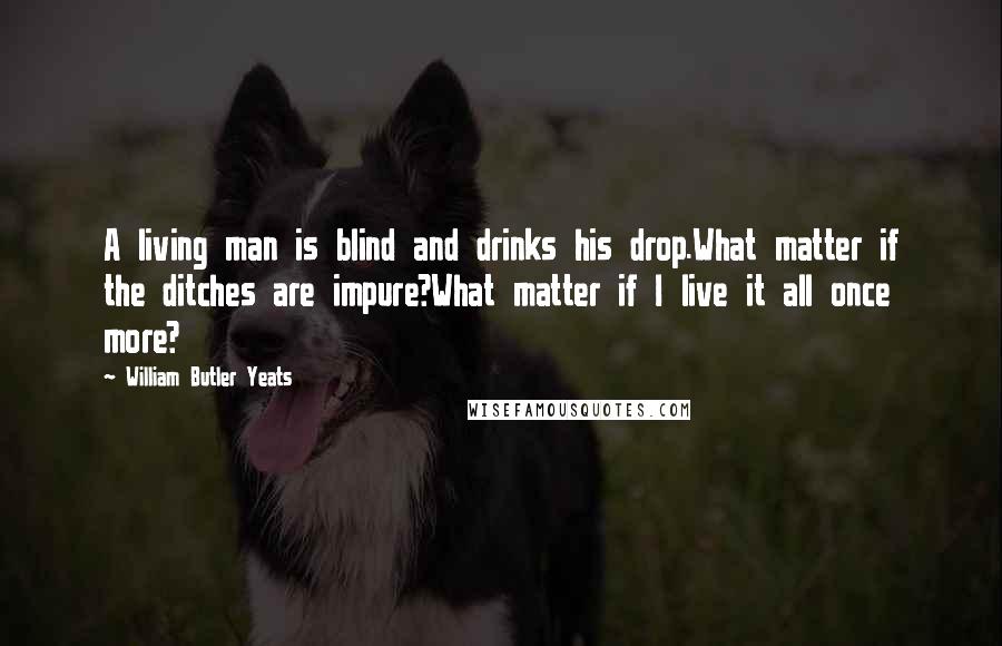 William Butler Yeats Quotes: A living man is blind and drinks his drop.What matter if the ditches are impure?What matter if I live it all once more?