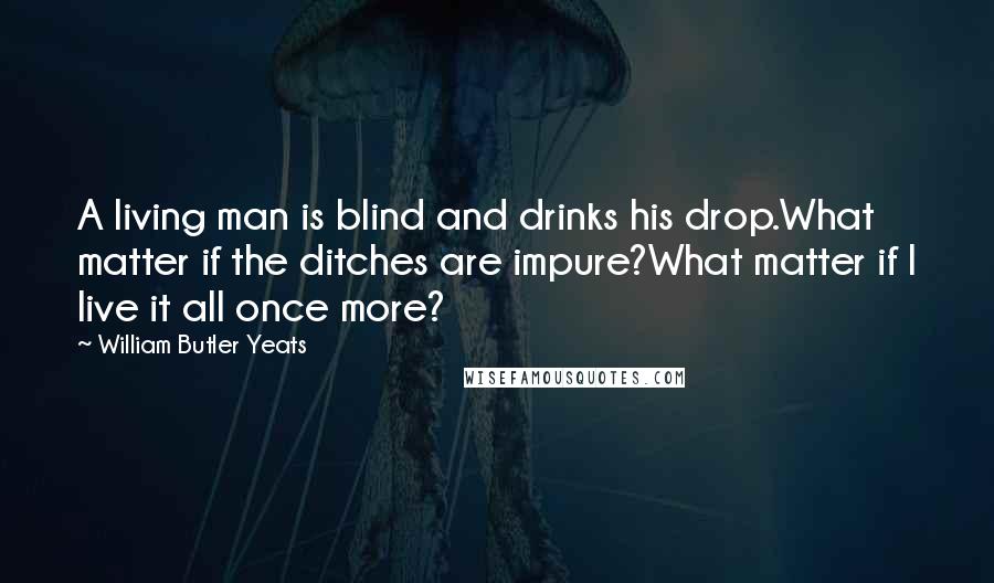 William Butler Yeats Quotes: A living man is blind and drinks his drop.What matter if the ditches are impure?What matter if I live it all once more?