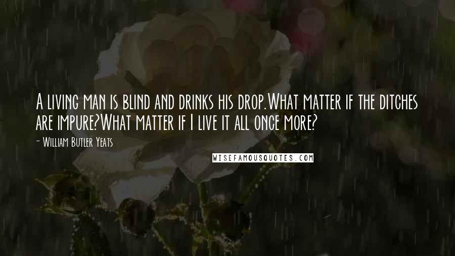 William Butler Yeats Quotes: A living man is blind and drinks his drop.What matter if the ditches are impure?What matter if I live it all once more?