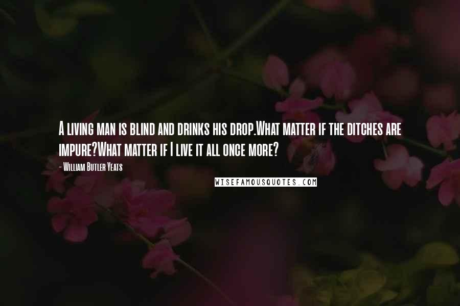 William Butler Yeats Quotes: A living man is blind and drinks his drop.What matter if the ditches are impure?What matter if I live it all once more?