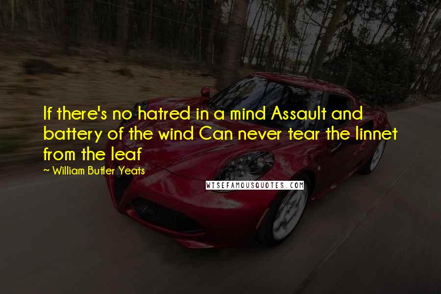 William Butler Yeats Quotes: If there's no hatred in a mind Assault and battery of the wind Can never tear the linnet from the leaf