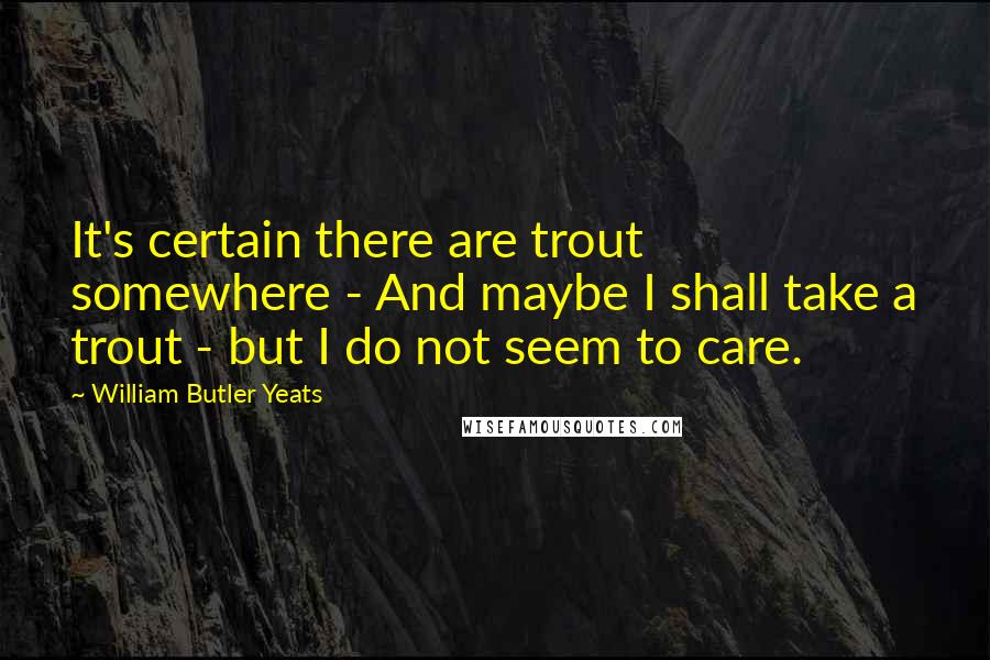 William Butler Yeats Quotes: It's certain there are trout somewhere - And maybe I shall take a trout - but I do not seem to care.