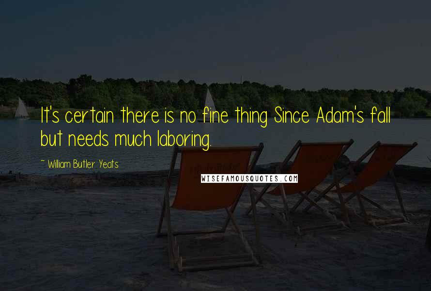 William Butler Yeats Quotes: It's certain there is no fine thing Since Adam's fall but needs much laboring.