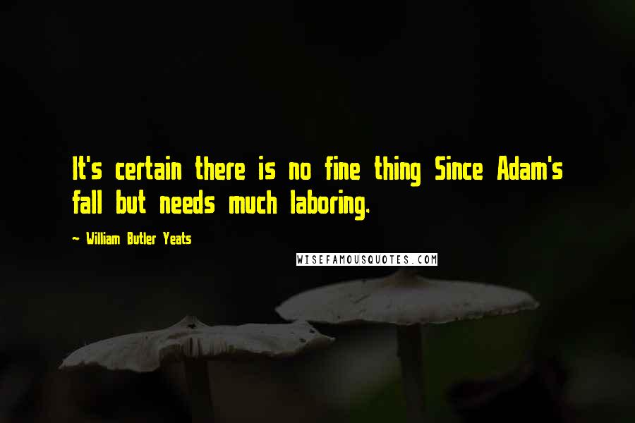 William Butler Yeats Quotes: It's certain there is no fine thing Since Adam's fall but needs much laboring.