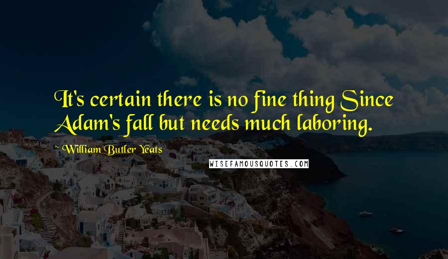 William Butler Yeats Quotes: It's certain there is no fine thing Since Adam's fall but needs much laboring.