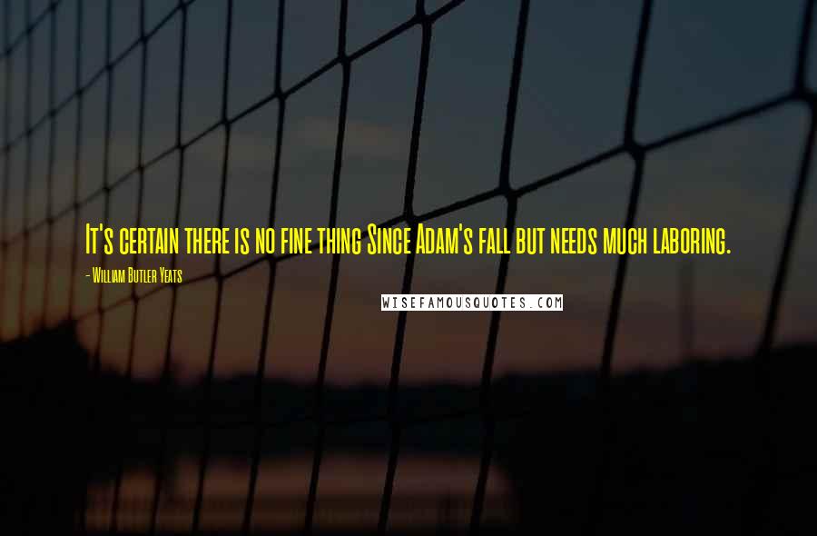 William Butler Yeats Quotes: It's certain there is no fine thing Since Adam's fall but needs much laboring.