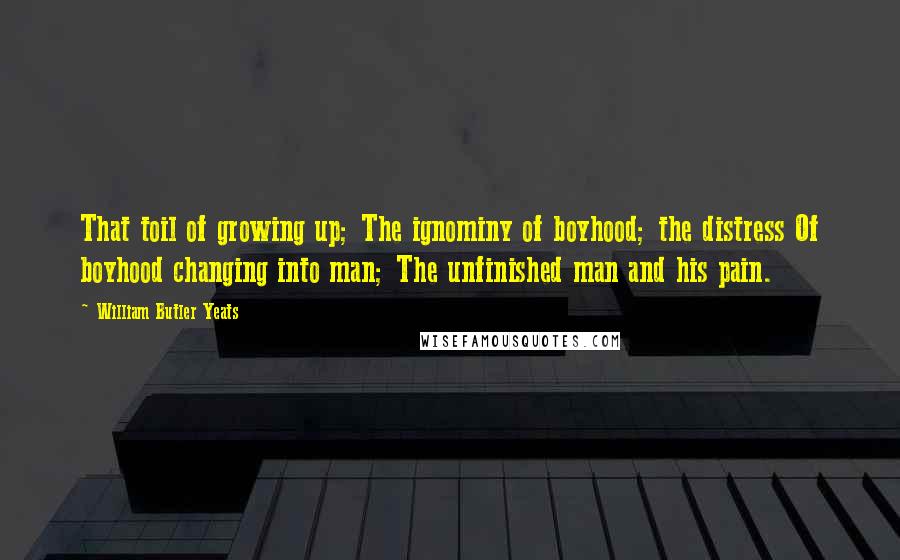 William Butler Yeats Quotes: That toil of growing up; The ignominy of boyhood; the distress Of boyhood changing into man; The unfinished man and his pain.