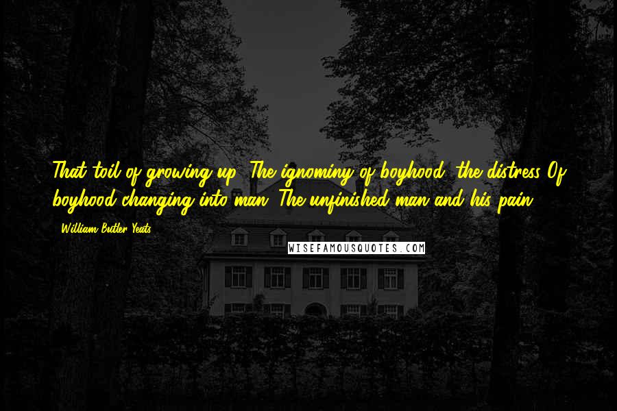 William Butler Yeats Quotes: That toil of growing up; The ignominy of boyhood; the distress Of boyhood changing into man; The unfinished man and his pain.