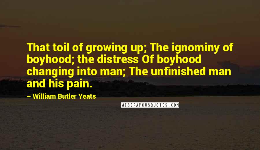 William Butler Yeats Quotes: That toil of growing up; The ignominy of boyhood; the distress Of boyhood changing into man; The unfinished man and his pain.