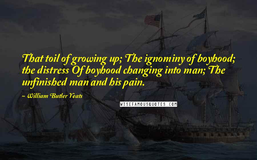 William Butler Yeats Quotes: That toil of growing up; The ignominy of boyhood; the distress Of boyhood changing into man; The unfinished man and his pain.