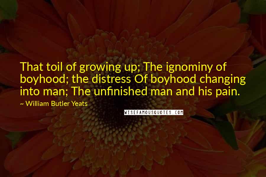 William Butler Yeats Quotes: That toil of growing up; The ignominy of boyhood; the distress Of boyhood changing into man; The unfinished man and his pain.