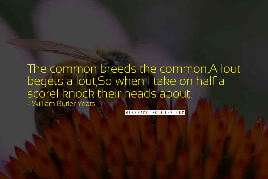 William Butler Yeats Quotes: The common breeds the common,A lout begets a lout,So when I take on half a scoreI knock their heads about.