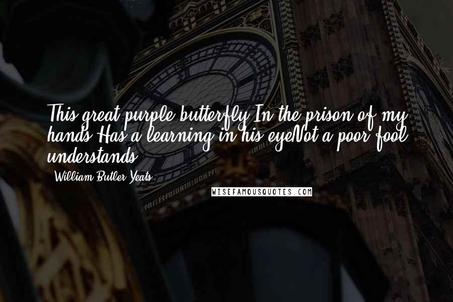William Butler Yeats Quotes: This great purple butterfly,In the prison of my hands,Has a learning in his eyeNot a poor fool understands.