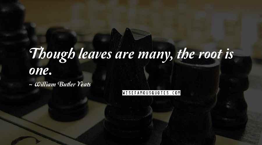 William Butler Yeats Quotes: Though leaves are many, the root is one.