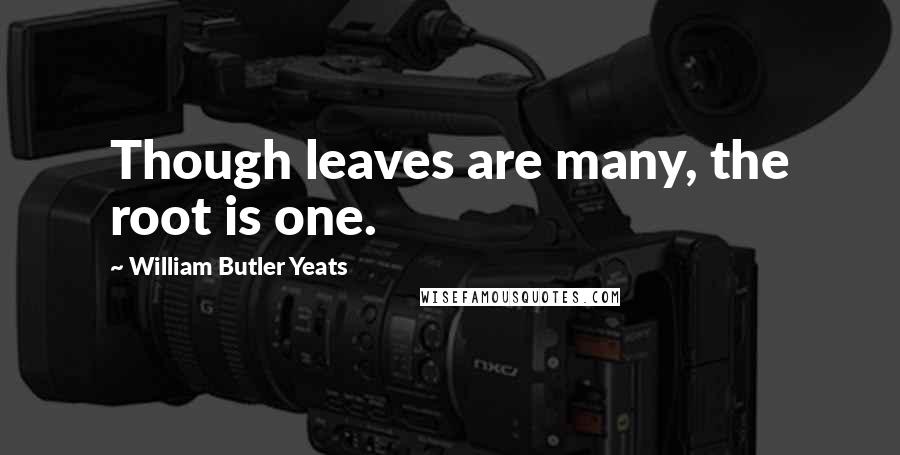 William Butler Yeats Quotes: Though leaves are many, the root is one.