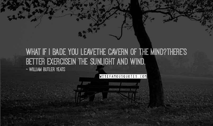 William Butler Yeats Quotes: What if I bade you leaveThe cavern of the mind?There's better exerciseIn the sunlight and wind.