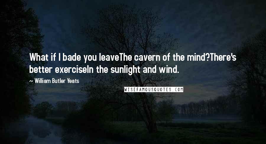 William Butler Yeats Quotes: What if I bade you leaveThe cavern of the mind?There's better exerciseIn the sunlight and wind.