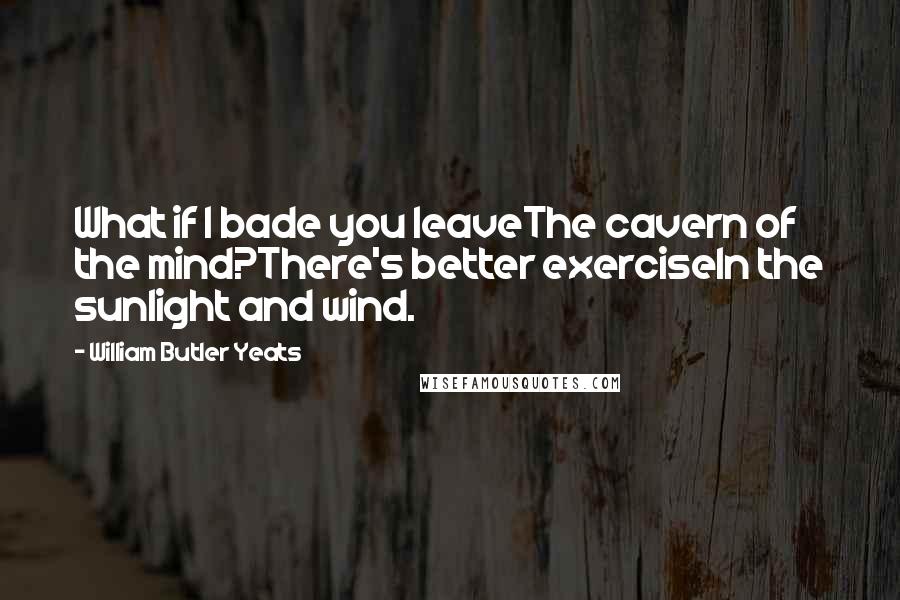 William Butler Yeats Quotes: What if I bade you leaveThe cavern of the mind?There's better exerciseIn the sunlight and wind.