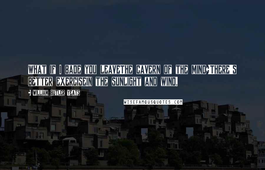 William Butler Yeats Quotes: What if I bade you leaveThe cavern of the mind?There's better exerciseIn the sunlight and wind.