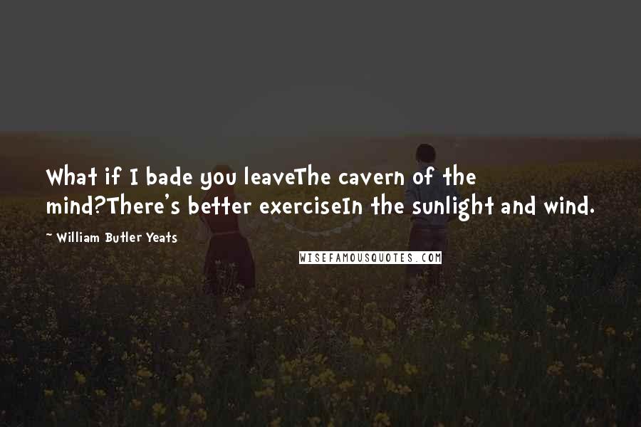 William Butler Yeats Quotes: What if I bade you leaveThe cavern of the mind?There's better exerciseIn the sunlight and wind.