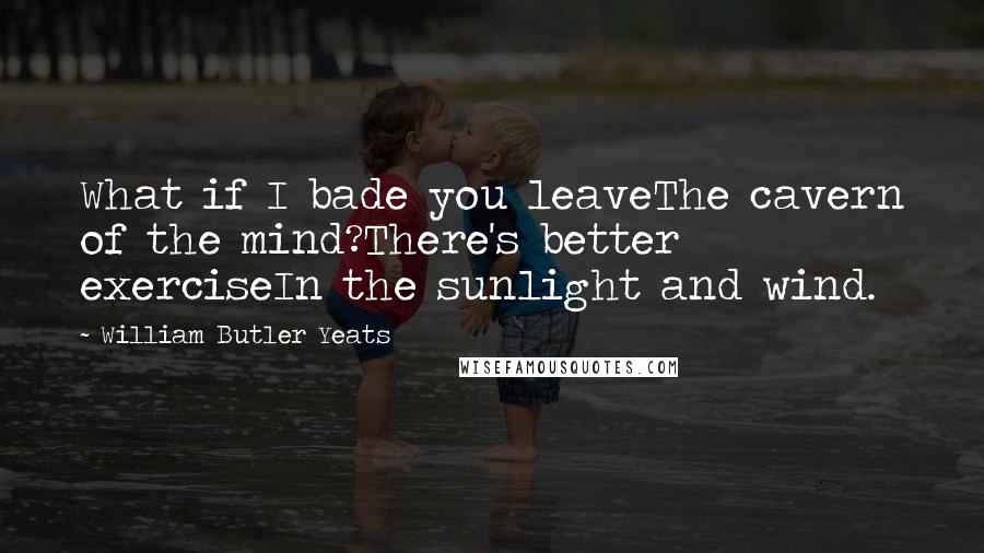 William Butler Yeats Quotes: What if I bade you leaveThe cavern of the mind?There's better exerciseIn the sunlight and wind.