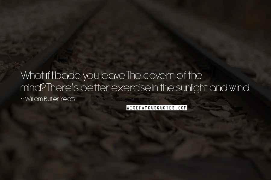 William Butler Yeats Quotes: What if I bade you leaveThe cavern of the mind?There's better exerciseIn the sunlight and wind.