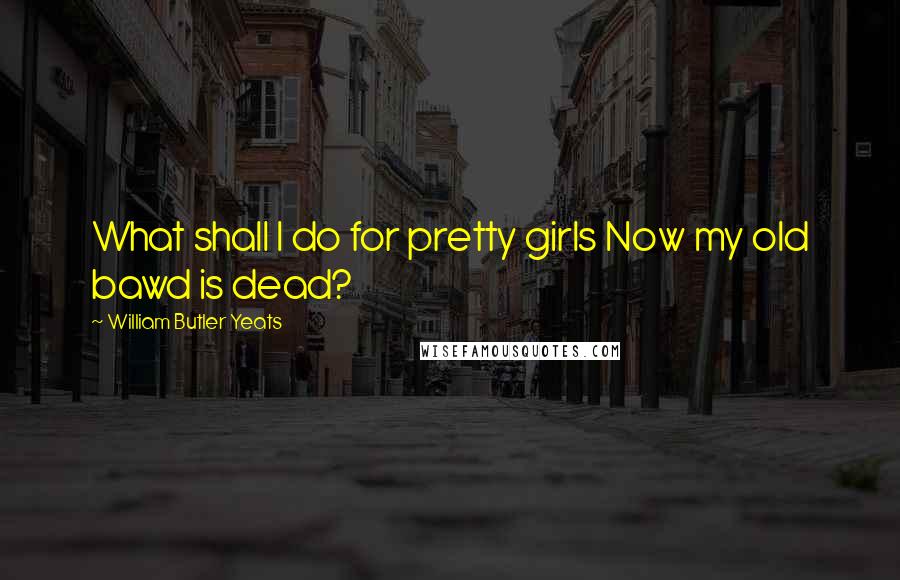 William Butler Yeats Quotes: What shall I do for pretty girls Now my old bawd is dead?