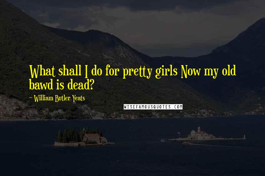 William Butler Yeats Quotes: What shall I do for pretty girls Now my old bawd is dead?