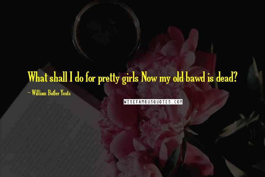 William Butler Yeats Quotes: What shall I do for pretty girls Now my old bawd is dead?