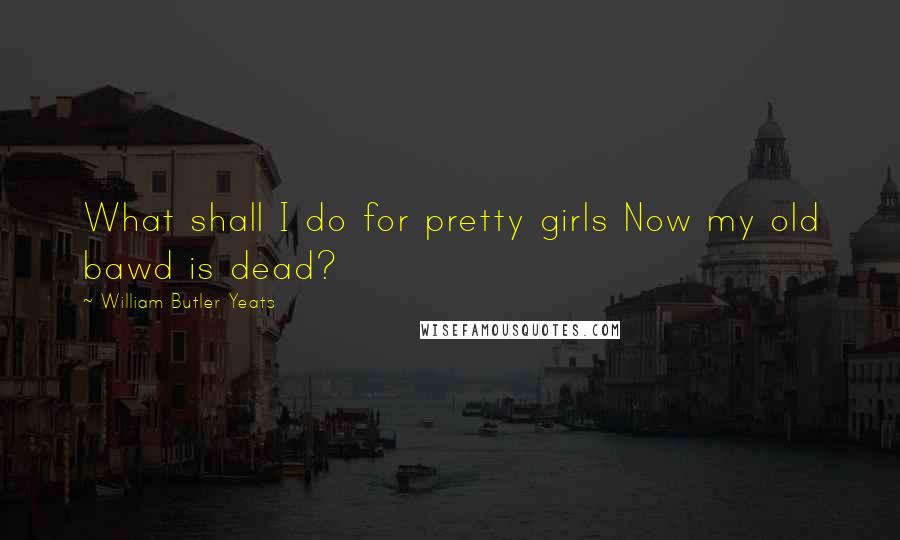 William Butler Yeats Quotes: What shall I do for pretty girls Now my old bawd is dead?