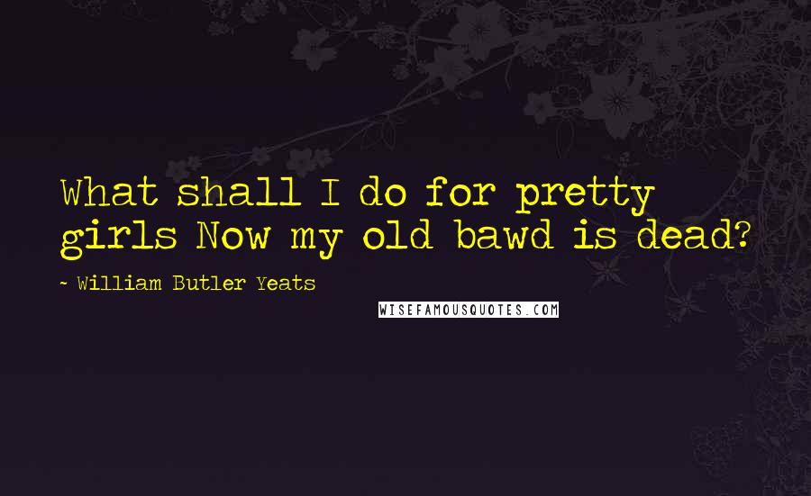 William Butler Yeats Quotes: What shall I do for pretty girls Now my old bawd is dead?