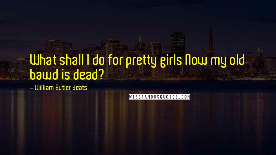 William Butler Yeats Quotes: What shall I do for pretty girls Now my old bawd is dead?