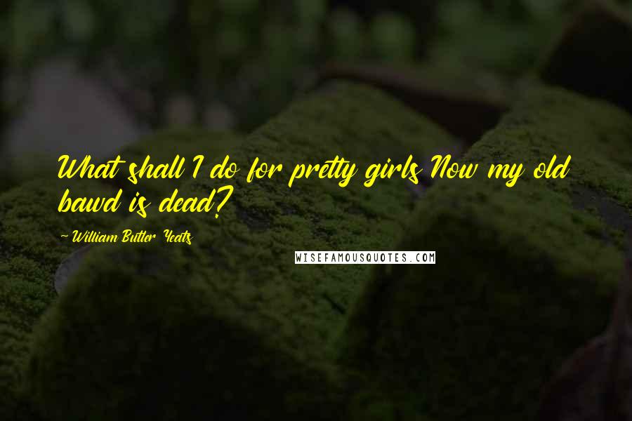 William Butler Yeats Quotes: What shall I do for pretty girls Now my old bawd is dead?